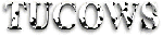 The Ultimate Collection Of Winsock Software